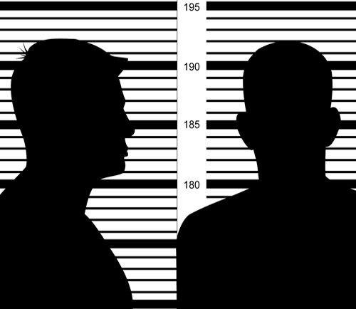 Criminal profiling